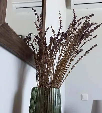 Σπίτι διακοπών Lily Home_lefkada ~ Private *
